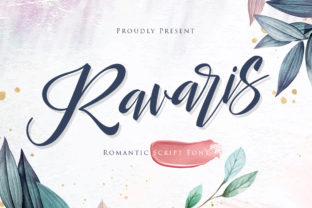Ravaris: Injecting Authentic Fun into Your Design Projects