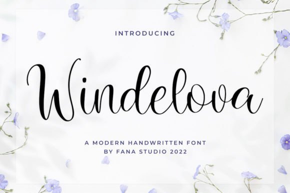 Windelova: Adding a Personal Touch to Your Designs